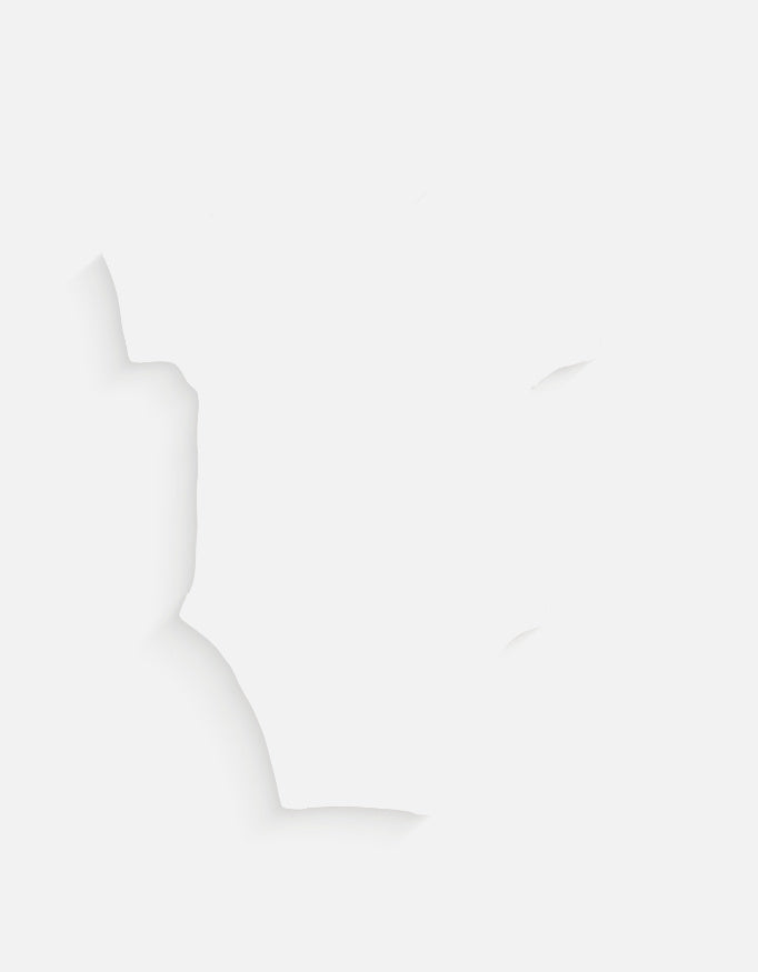 Back_2_c_1.jpg