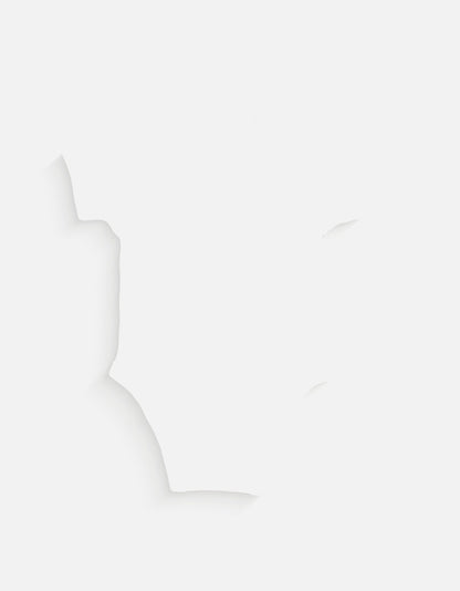Back_2_c_4.jpg